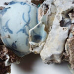 7 chinese 15th C. Ming Bowls – Kiln accident / Waster